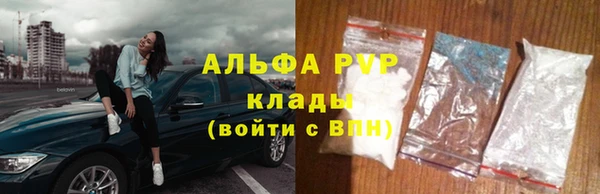 PSILOCYBIN Горно-Алтайск