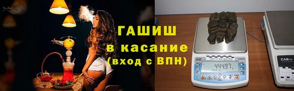 PSILOCYBIN Горно-Алтайск