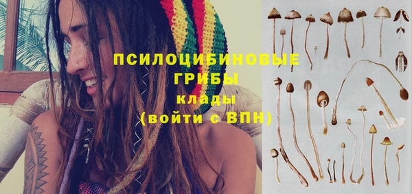 дмт Горнозаводск
