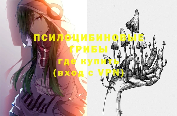 дмт Горнозаводск