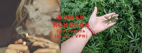 дмт Горнозаводск