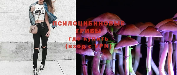 марки lsd Горняк