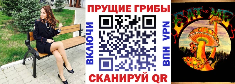 Галлюциногенные грибы прущие грибы  где продают наркотики  Нерюнгри 