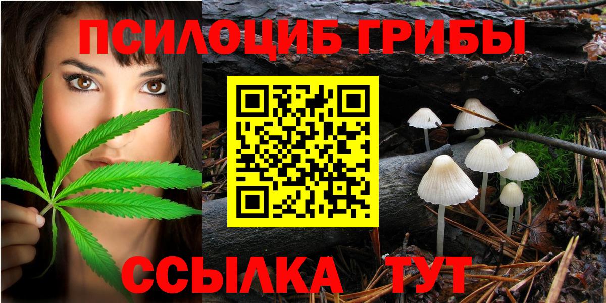 Нерюнгри  Галлюциногенные грибы Psilocybine cubensis  Вход с VPN 