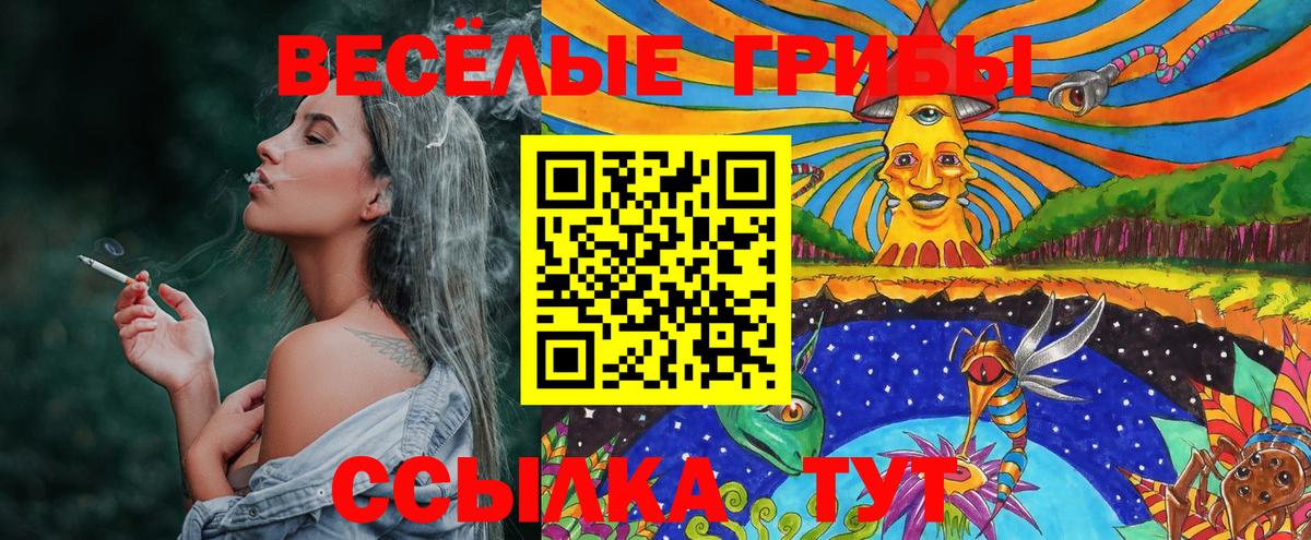 Псилоцибиновые грибы Psilocybe  Нерюнгри 