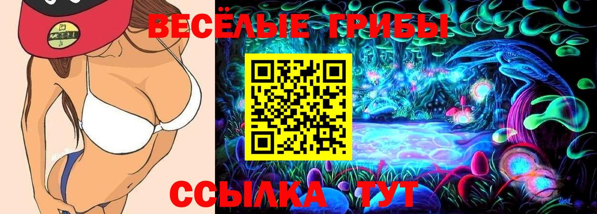 Галлюциногенные грибы GOLDEN TEACHER Нерюнгри